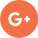 google+ icon