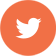 twitter icon